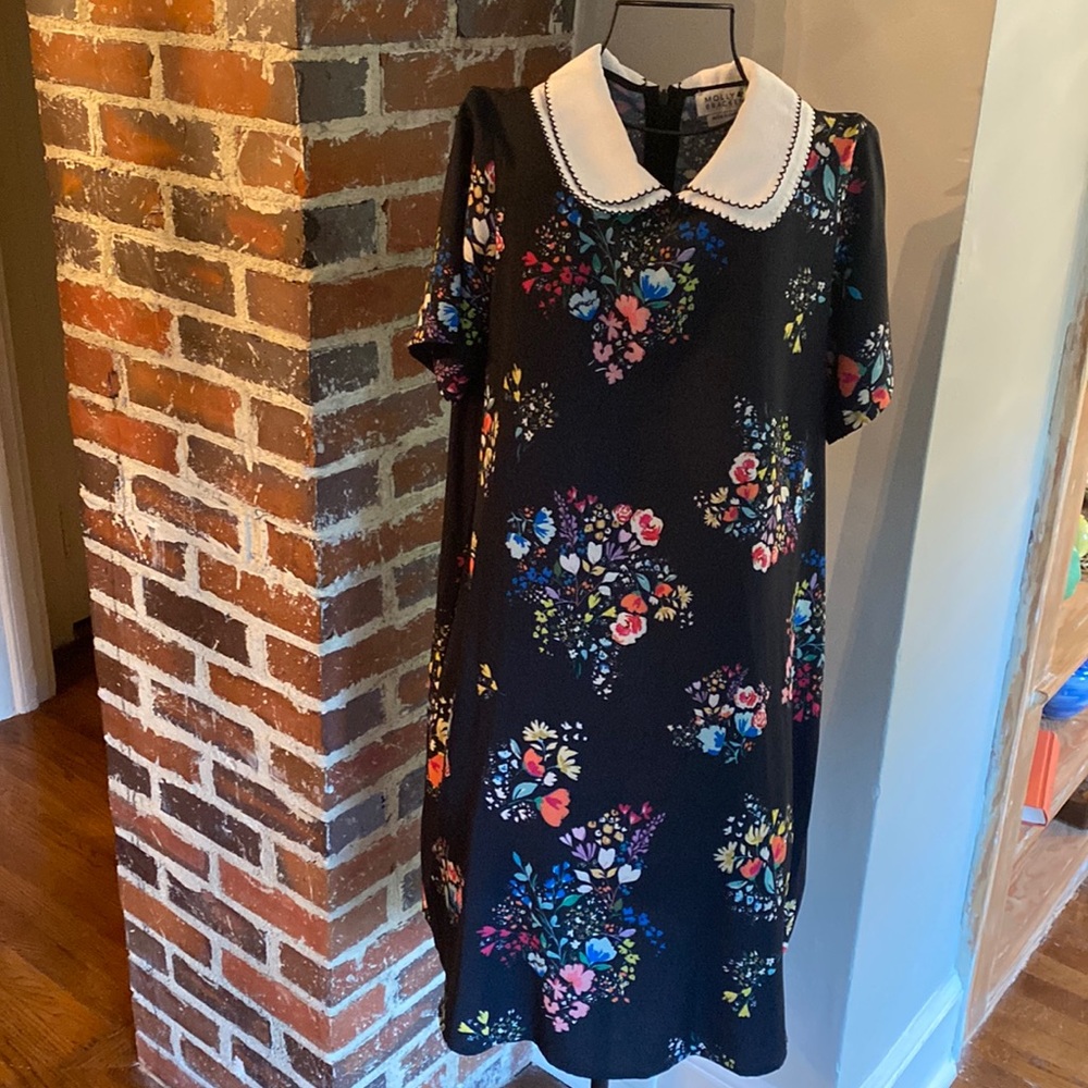 Molly Bracken collared short sleeve dress